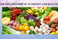 The Link Between Nutrition and Health, Part 3 | Ulan Nutritional Systems Understanding The Relationship Between Nutrition And Health