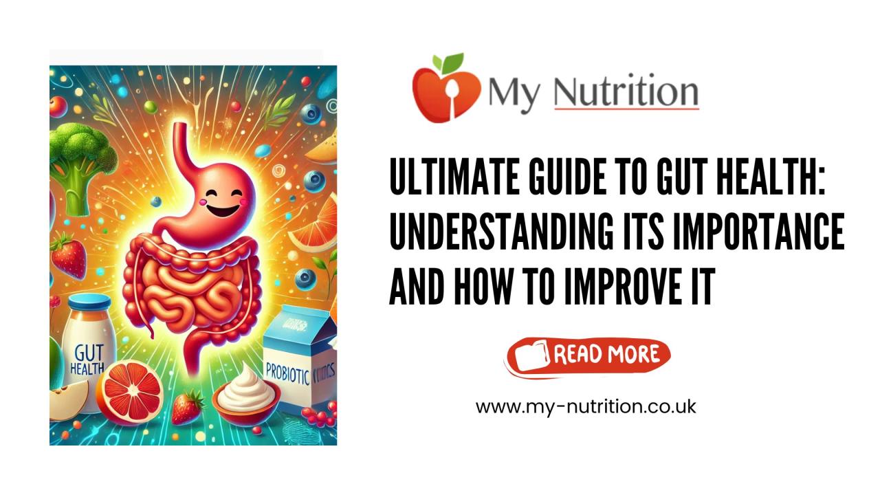 Understanding The Importance Of Gut Health