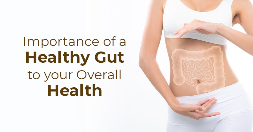 Understanding The Importance Of Gut Health