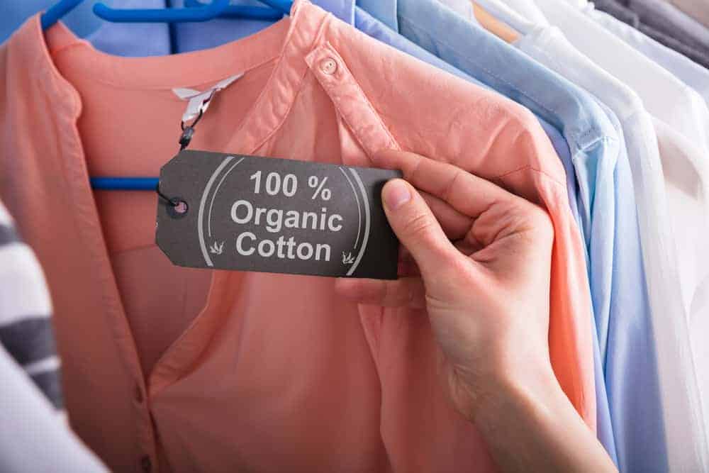 Sustainable Chic: Embracing Eco-Friendly Fashion in Daily Living - IQ Eye Latest Trends In Eco-Friendly Fashion And Lifestyle