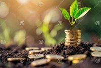 What Is The Impact Of Inflation On Investment Returns