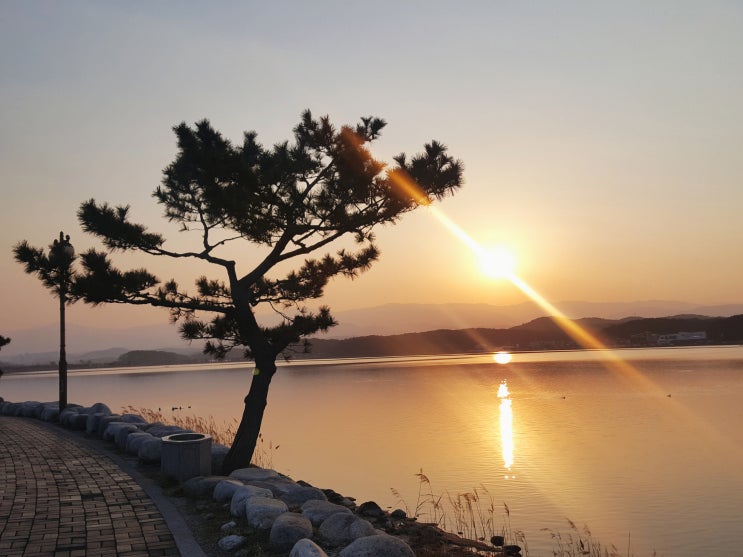 강릉 스카이베이호텔 경포 후기, 경포해변 경포호 아침 러닝 산책 코스 : 네이버 블로그 How Does 5G Technology Impact Internet Speed