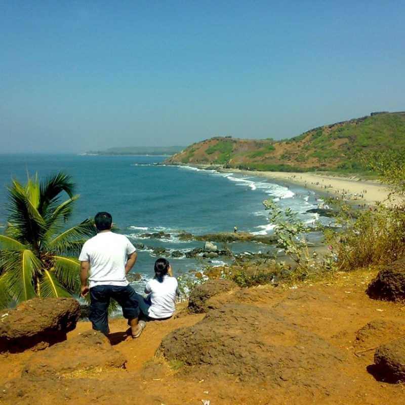 Discover Galgibaga Beach: A Sanctuary for Turtle Nesting in Goa - Tripoto