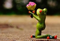 I Beg Your Pardon Excuse Me Frog · Free photo on Pixabay What To Look For In A Quality Tablet